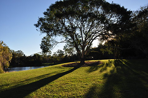 Tondoon Botanic Gardens - Lennox Head Accommodation 4