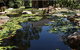 Tondoon Botanic Gardens - thumb 8