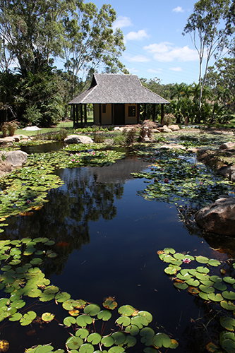Tondoon Botanic Gardens - Lennox Head Accommodation 8