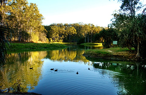 Tondoon Botanic Gardens - Lennox Head Accommodation 9