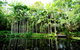 Tondoon Botanic Gardens - thumb 11