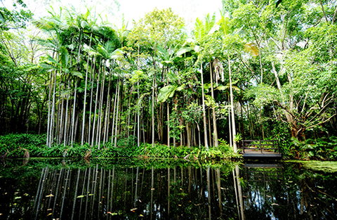 Tondoon Botanic Gardens - Lennox Head Accommodation 11
