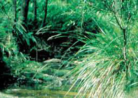 Newbury VIC Lennox Head Accommodation