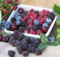 Bright Berry Farms - Lennox Head Accommodation