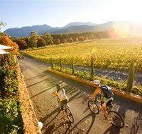 Boyntons Feathertop Winery - Lennox Head Accommodation