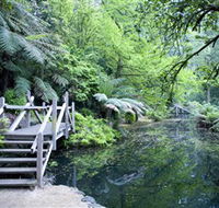 Alfred Nicholas Gardens - Lennox Head Accommodation