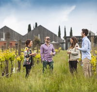 Willow Creek Vineyard - Lennox Head Accommodation