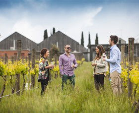 Willow Creek Vineyard - Lennox Head Accommodation 0