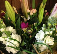 Alpine Blooms Florist Mansfield - Lennox Head Accommodation
