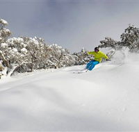 Mt Buller and Mt Stirling Alpine Resort - Lennox Head Accommodation