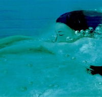 Muse - Lennox Head Accommodation