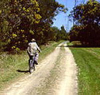 Koomba Park - Lennox Head Accommodation