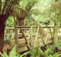 Mount Worth State Park - Lennox Head Accommodation