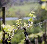 Michelini Wines - Lennox Head Accommodation