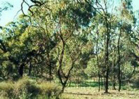 Wandella VIC Lennox Head Accommodation