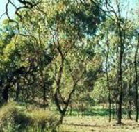 Leaghur State Park - Lennox Head Accommodation