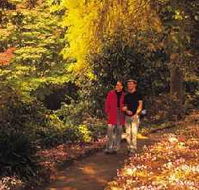 George Tindale Memorial Gardens - Lennox Head Accommodation