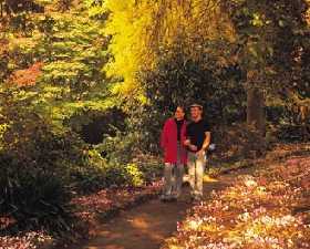 George Tindale Memorial Gardens - Lennox Head Accommodation 0