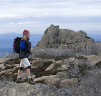 Mount Buffalo National Park - Lennox Head Accommodation