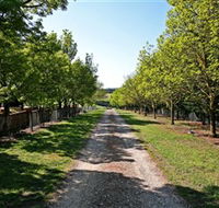 Waybourne Winery - Lennox Head Accommodation