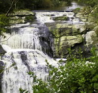 Agnes Falls Scenic Reserve - Lennox Head Accommodation