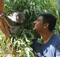 Healesville Sanctuary - Lennox Head Accommodation