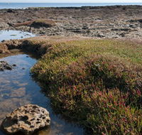 Ricketts Point Marine Sanctuary - Lennox Head Accommodation
