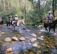 Howqua Hills Historic Area - Lennox Head Accommodation
