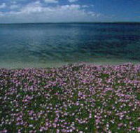 The Lakes National Park - Lennox Head Accommodation