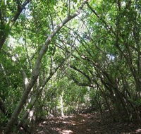 Eucalypt Trail - Lennox Head Accommodation