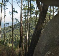 Gulaga National Park - Lennox Head Accommodation