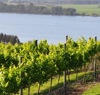 Two Figs Winery - Lennox Head Accommodation