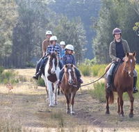 Horse Riding at Oaks Ranch and Country Club - Lennox Head Accommodation