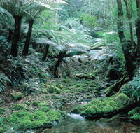 Deua National Park - Lennox Head Accommodation