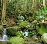 Budderoo National Park - Lennox Head Accommodation
