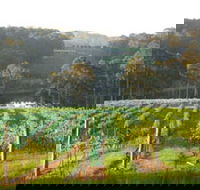Tilba Valley Wines - Lennox Head Accommodation