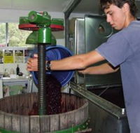 Fern Gully Winery - Lennox Head Accommodation
