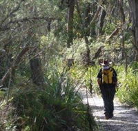 Barren Grounds Nature Reserve - Lennox Head Accommodation