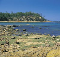 Aslings Beach - Lennox Head Accommodation