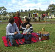 Blackbutt Forest Reserve - Lennox Head Accommodation