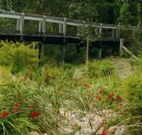 Eurobodalla Botanic Gardens - Lennox Head Accommodation