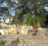 Curtis Park Arboretum - Lennox Head Accommodation