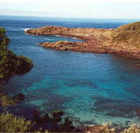 Bass Point Reserve - Lennox Head Accommodation