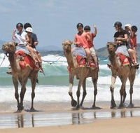 Camel Rides with Coffs Coast Camels - Lennox Head Accommodation