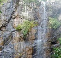 Wedding Bells Forest Drive - Lennox Head Accommodation