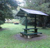 Pine Creek State Forest - Lennox Head Accommodation
