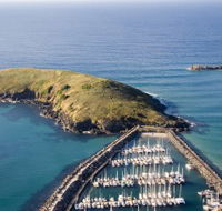 Muttonbird Island Nature Reserve - Lennox Head Accommodation