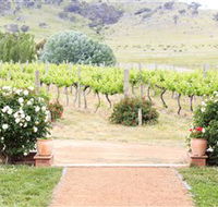 Brindabella Hills Winery - Lennox Head Accommodation