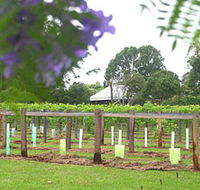 Douglas Vale Historic Homestead  Vineyard - Lennox Head Accommodation