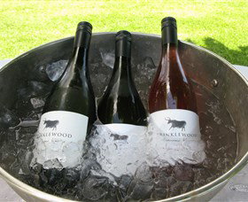 Krinklewood Vineyard - Lennox Head Accommodation 6